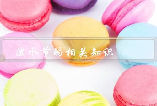 泼水节的相关知识，起源、意义、庆祝活动