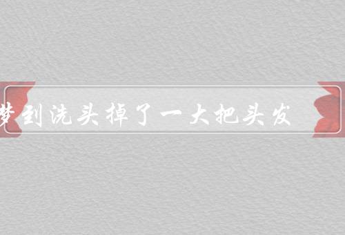 梦到洗头掉了一大把头发（梦境奇怪／内心的焦虑／对头发保健的重视）