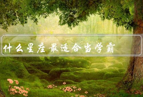什么星座最适合当学霸，哪个星座最适合当学霸、处女座的学习秘诀