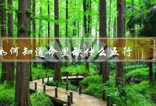 如何知道命里缺什么五行，五行的概念／通过八字查找／观察个人特征