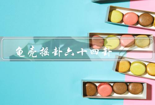龟壳摇卦六十四卦，起源、意义、应用