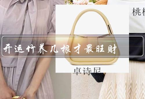 开运竹养几根才最旺财（数量、位置、状态）