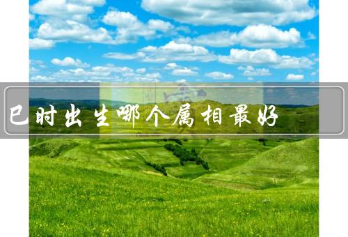 巳时出生哪个属相最好（优点／适合职业／运势）