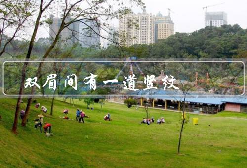 双眉间有一道竖纹（形成原因、预防和护理、改善方法）
