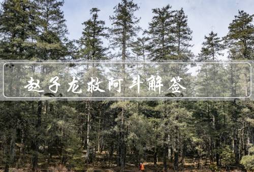 赵子龙救阿斗解签，赵云救阿斗、智勇双全的赵云、忠诚义气的赵云
