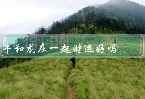 牛和龙在一起财运好吗，象征财富与权力／互补性／传统象征意义