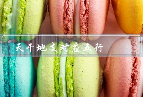天干地支对应五行，甲木、乙木、丙火