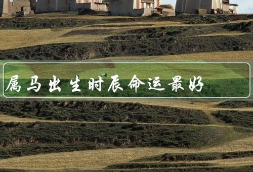属马出生时辰命运最好（自信、积极进取、人际关系）