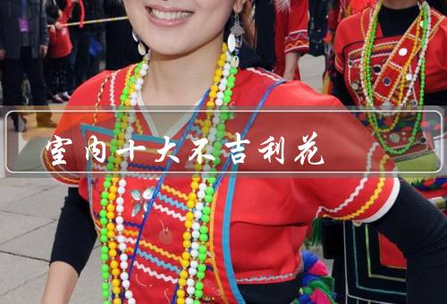 室内十大不吉利花，仙人掌／虎尾兰／九曜植物