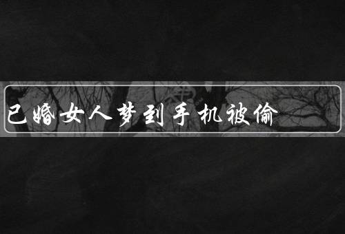 已婚女人梦到手机被偷（婚姻状况／沟通与信任／个人隐私和安全感）
