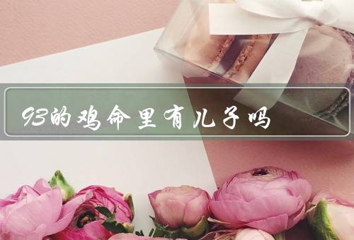 93的鸡命里有儿子吗，成长之路／家庭温暖与支持／梦想实现
