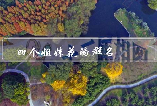 四个姐妹花的群名，浪漫群名、活力群名、温馨群名