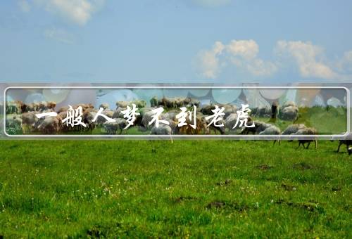 一般人梦不到老虎（老虎、解读、其他动物）