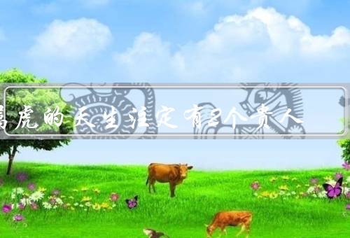 属虎的天生注定有2个贵人（定义、影响、如何吸引）