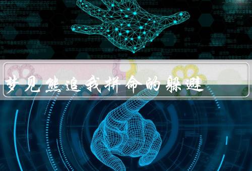 梦见熊追我拼命的躲避（逃亡的开始／险象环生／最终的躲避）