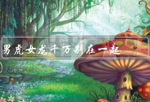 男虎女龙千万别在一起（性格差异／生活方式不和谐／争夺权力和控制）