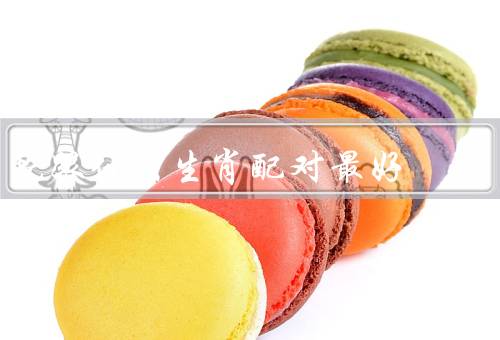 蛇跟什么生肖配对最好，马的配对／牛的配对／鸡的配对