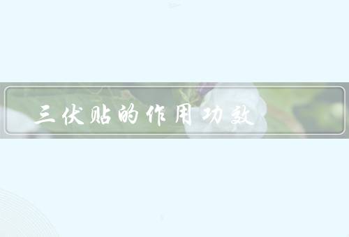 三伏贴的作用功效，疏散风热／清热解毒／祛湿利尿