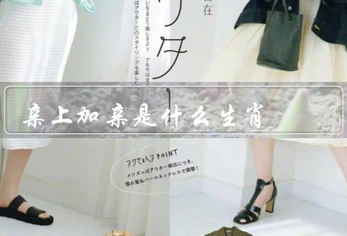 亲上加亲是什么生肖（生肖有哪些／特点／意义）