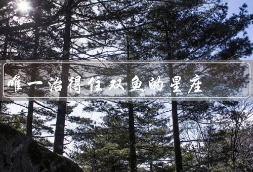 唯一治得住双鱼的星座（温柔体贴、同理心、包容和宽容）