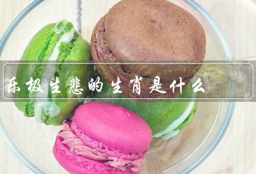 乐极生悲的最佳生肖是什么（乐观积极／智慧和谨慎／自律和坚持）
