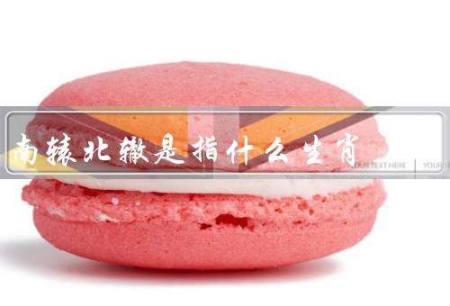 南辕北辙是指什么生肖（南辕北辙／生肖猴的特点／猴年运势）
