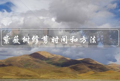 紫薇树修剪时间和方法，时间／方法／注意事项