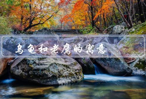 乌龟和老鹰的寓意，寓意、老鹰的寓意、与老鹰的对比