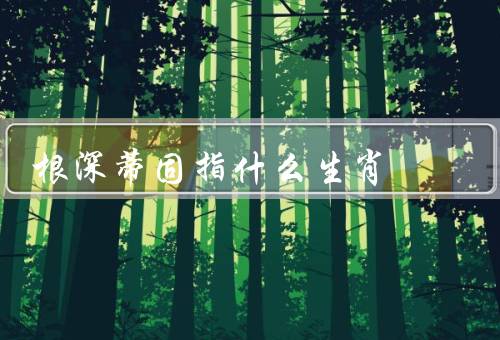 根深蒂固指什么生肖，老鼠／虎／蛇