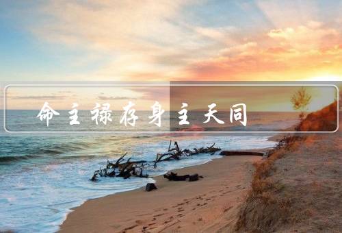 命主禄存身主天同，禄存／身主／天同