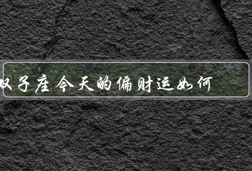 双子座今天的偏财运如何，职场机遇／理性投资／财务管理