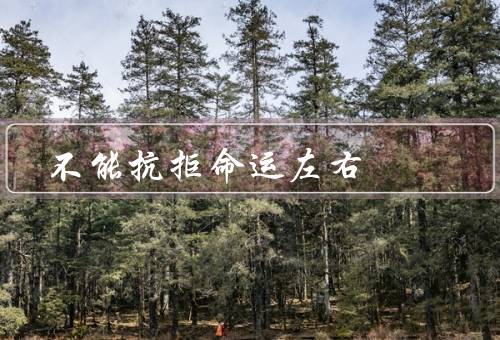 不能抗拒命运左右，选择的出生／掌控的自然灾害／逃避的死亡