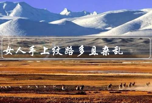 女人手上纹路多且杂乱（手纹的形状和特征、生活压力和经历）