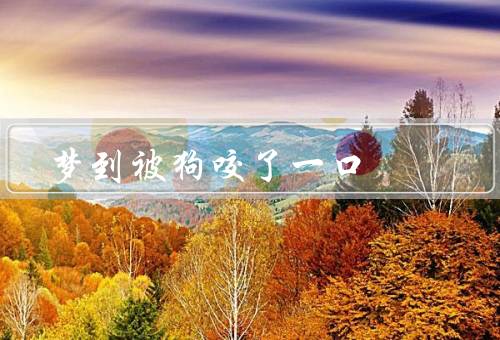 梦到被狗咬了一口，情绪／解释