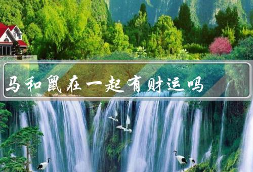 马和鼠在一起有财运吗