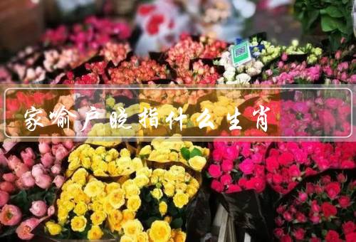 家喻户晓指什么生肖（龙、猴、鼠）