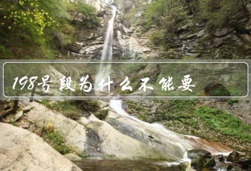 198号段为什么不能要