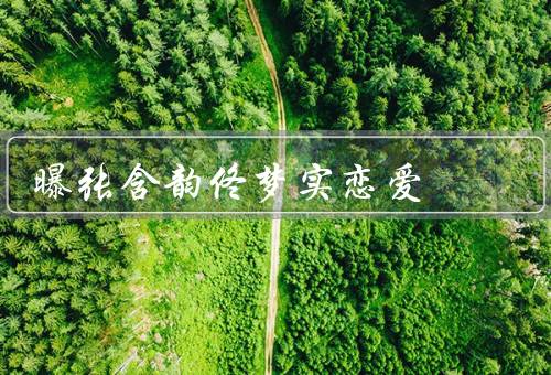曝张含韵佟梦实恋爱（两人在餐厅牵手／合作经历引发猜测）