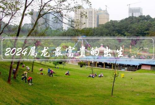 2024属龙最富贵的出生，财富滚滚而来、事业蒸蒸日上