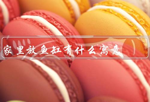 家里放鱼缸有什么寓意（提升居家美感／带来平静宁静的心境）