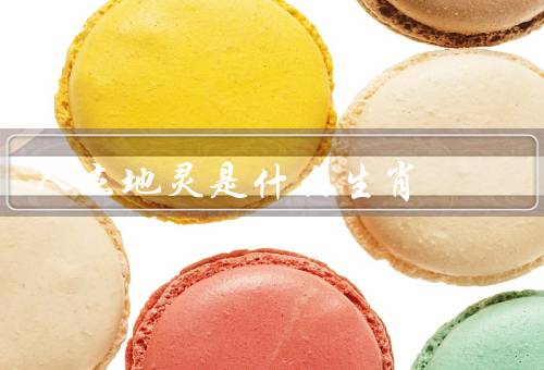 人杰地灵是什么生肖（属鼠的特点／与属鼠）