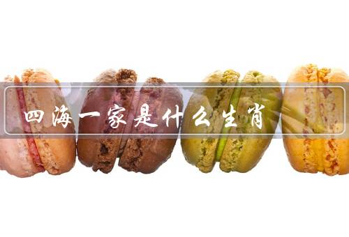 四海一家是什么生肖，四海一家／象征意义／性格特点