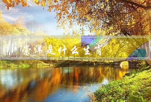崇洋媚外是什么生肖（龙／狗／猴）