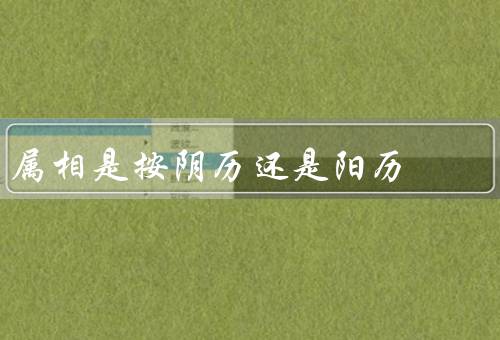 属相是按阴历还是阳历