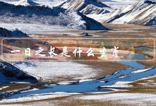 一日之长是什么生肖，特征／优势／发展建议