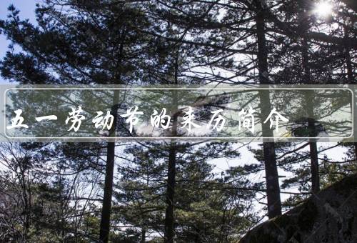 五一劳动节的来历简介（来历、庆祝活动、意义）
