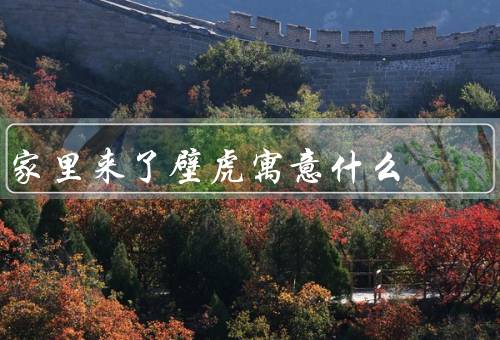 家里来了壁虎寓意什么（壁虎的象征意义／家里来了壁虎的好兆头）