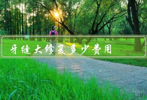 牙缝大修复多少费用，适应症／费用／注意事项