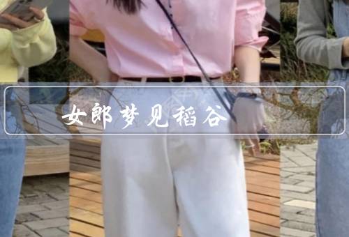 应召女郎梦见稻谷（内心困惑／渴望改变／努力与希望）