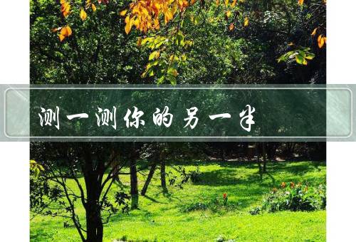 测一测你的另一半，喜好测试／性格测试／沟通测试